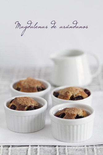 Magdalenas de arándanos
