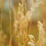 Terminar sin haber ni siquiera empezado