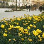 Unos días en Granada