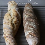 Pan integral con semillas